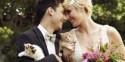 Here's The Cutest, Cuddliest, Kitty-Themed Wedding That You'll Ever See