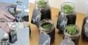 How to Make Mason Jar Herb Garden - DIY & Crafts - Handimania