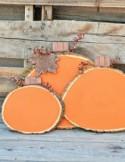 How to Make Painted Wood Slice Pumpkins - DIY & Crafts - Handimania