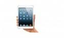 FREE iPad Mini with All-Day packages booked this month