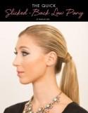 The Quick Slicked-Back Low Pony