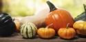 21 Gorgeous Pumpkins That Go Beyond Halloween