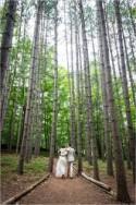 Quiet Wedding In The Woods