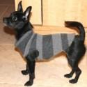 How to Make Recycled Dog Sweater - DIY & Crafts - Handimania
