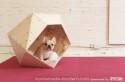 How to Make Modern Geometric Doghouse - DIY & Crafts - Handimania