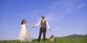 Best Ways To Include Your Pet In Your Wedding Celebration