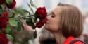 What Makes A Rose Smell So Sweet? Here's The Science