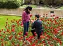 Here's How People Really Feel About Their Marriage Proposals