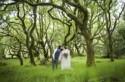 Ancient Woodland Welsh Wedding