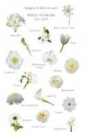 White Flowers for Fall Weddings :: Snippet & Ink Glossary - Snippet & Ink