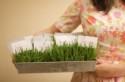 DIY : petits pots d'herbe fraîche pour fabriquer le plan de table - Do It Yourself, Idées de mariage -