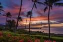 Which Hawaiian Island is Right for Your Destination Wedding?