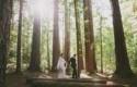 A Midsummer Night's Dream Inspired Wedding: Alicia + Kirk