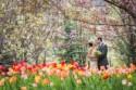 9 idées de décorations pour faire chanter le printemps à votre mariage - Idées de mariage, Les thèmes -