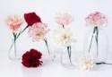 Adorable DIY Paper Carnations For Bridal Shower Decor - Weddingomania