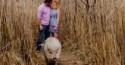 Couple's Engagement Pics Feature Their 250-Pound Piggy Named Ziggy