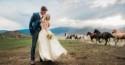 Majestic Horses Turn This Wedding Photo Into A Masterpiece
