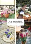 How To Use Potted Plants In Your Wedding Decor: 25 Unique Ideas - Weddingomania
