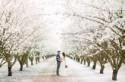 Boho Meets Modern Wedding Shoot In The Almond Orchard - Weddingomania