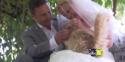 Animal Lovers Exchange Vows In Front Of Hundreds Of Cats