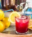 Fresh, Homemade Sparkling Hibiscus Lemonade Party Punch Recipe 