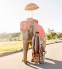 Bright + Colorful Indian / American Wedding: Sarah + Sunny - Part 1