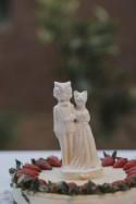 Movie Themed Wedding with a Kitty Ring Bearer