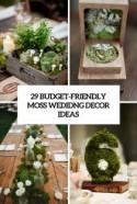 29 Budget-Friendly Moss Wedding Décor Ideas - Weddingomania