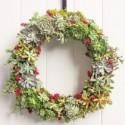 How to Make a Holiday Succulent Wreath 