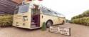 Festival Brides Love: Tiger Lily Bus Company