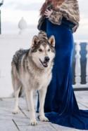 La série "Game of Thrones" au cœur d'un splendide shooting photo de mariage ! - Mariage.com