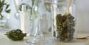 Everything You Ever Wanted To Know About Weed Wedding Bars