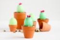 Comment transformer des œufs en cactus rigolos pour décorer un mariage piquant ? - Mariage.com