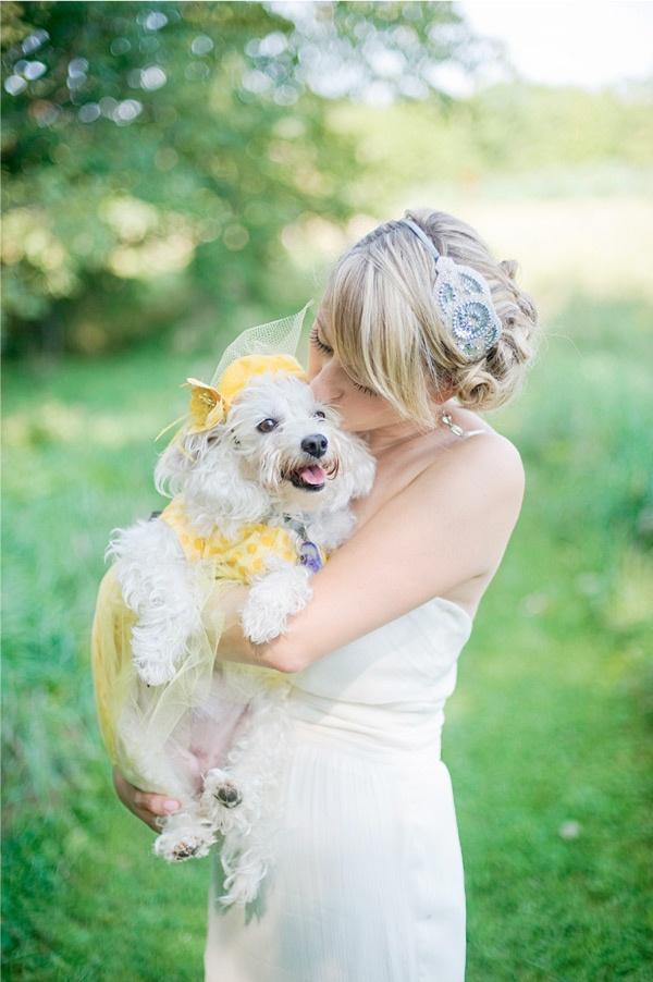 Wedding - Puppy LOVE