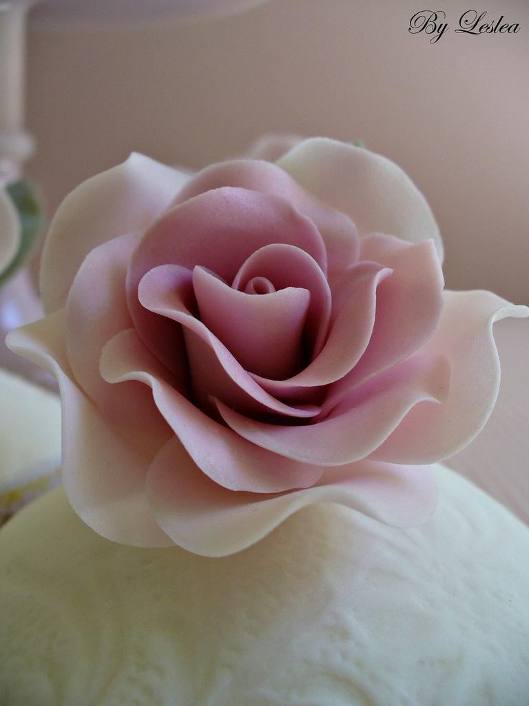 Mariage - Pink rose