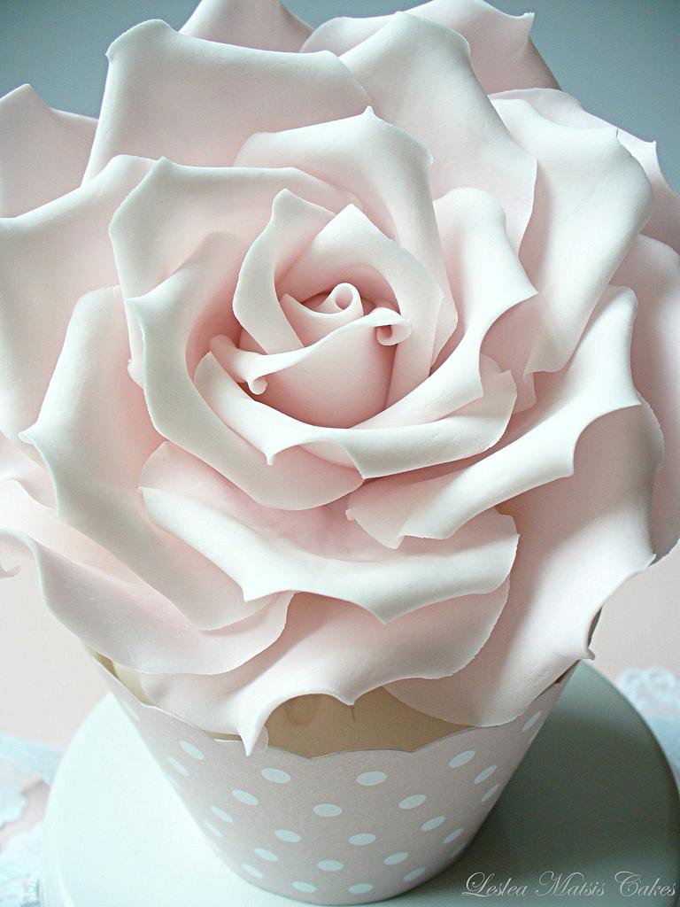 زفاف - Pink rose :-)
