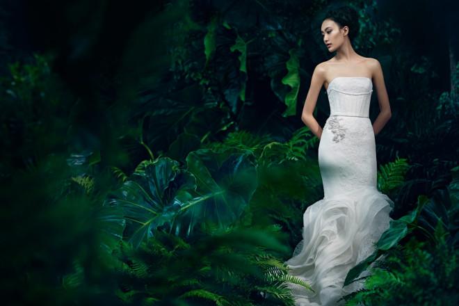 زفاف - Vera Wang Wedding Dress