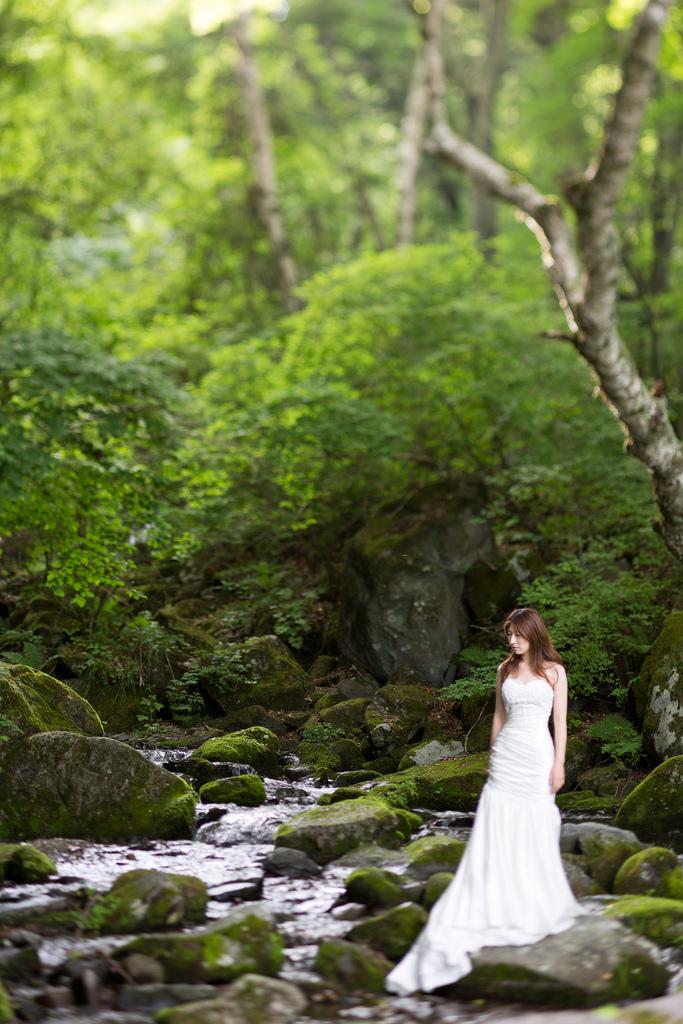 Mariage - In Forest