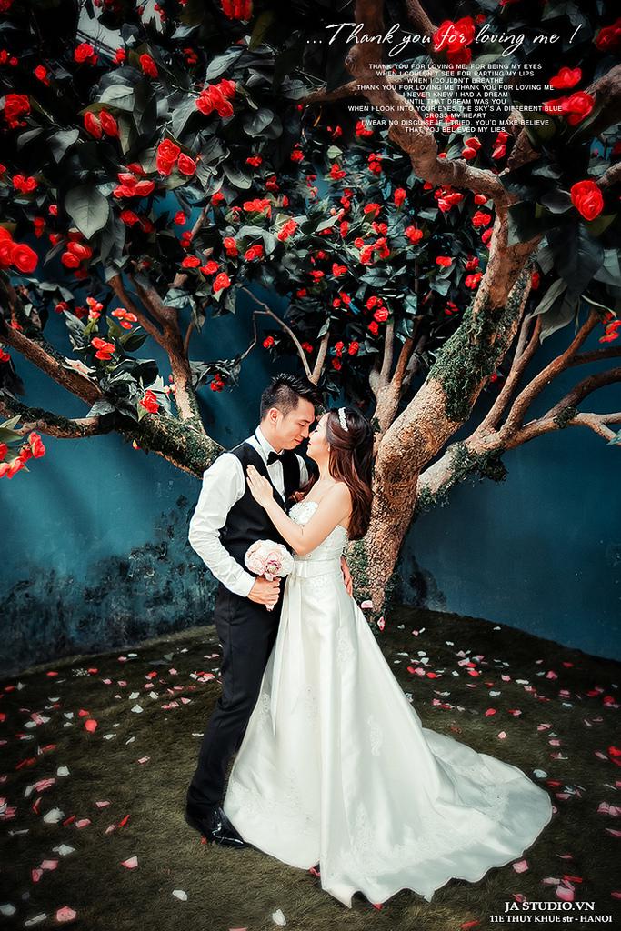 Mariage - Ảnh cưới đẹp Hà Nội - Box Art ( JA Studio - 11E Thụy Khuê )