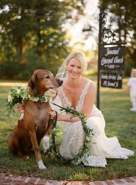 Wedding - Wedding Pets 