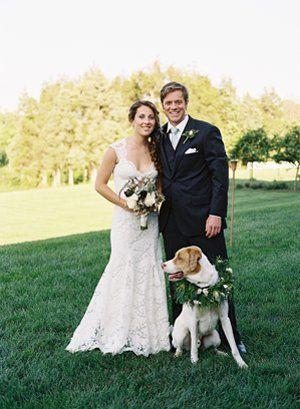 Свадьба - Wedding Pets 
