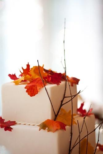 زفاف - Fall/Autumn Wedding