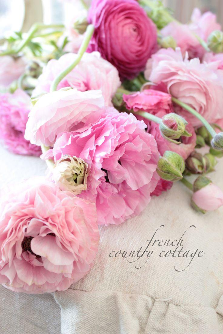 Mariage - Floral Love