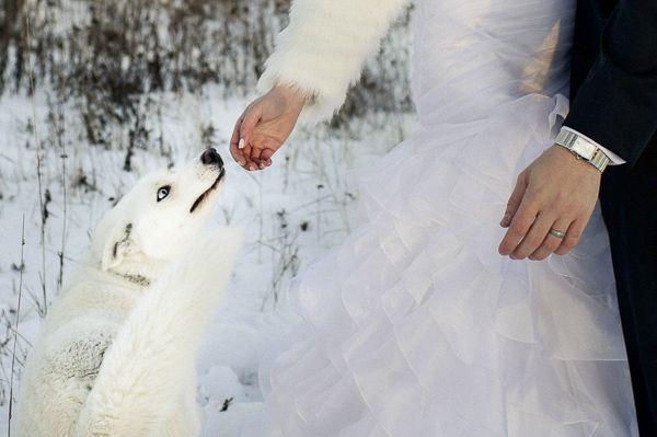 Hochzeit - Winter Wedding Inspiration