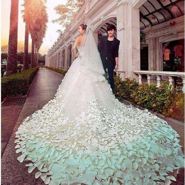 زفاف - Wedding Photo