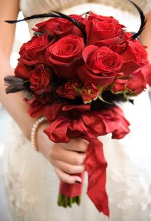 زفاف - Red Wedding