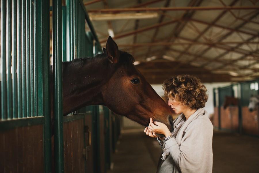 Wedding - Horse Love
