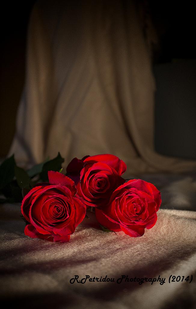 Wedding - Waiting Roses