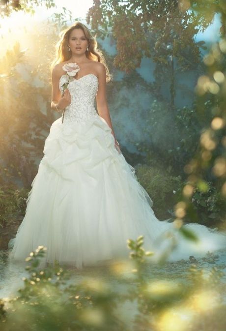Hochzeit - Angel Wedding Dress 