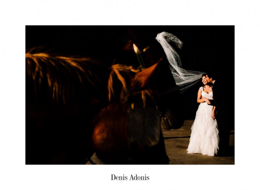 Wedding - Daniela+David